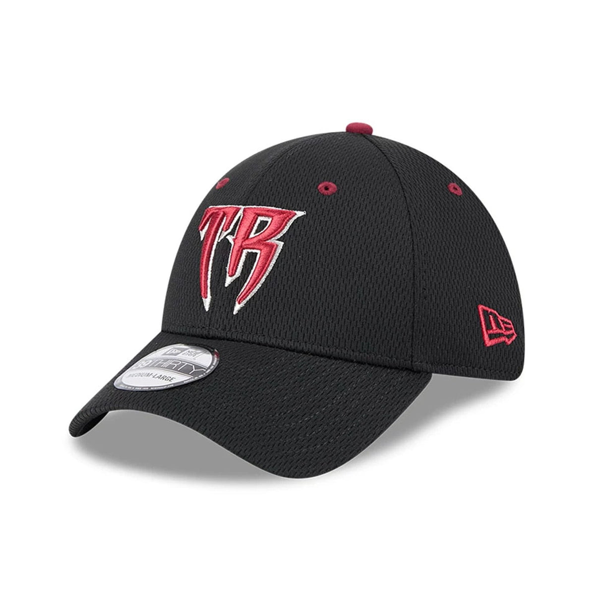 Timber Rattlers MiLB Batting Practice Black 39THIRTY Stretch Fit Cap-klyvox