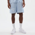 New York Yankees MLB Woven Pastel Blue Shorts-klyvox